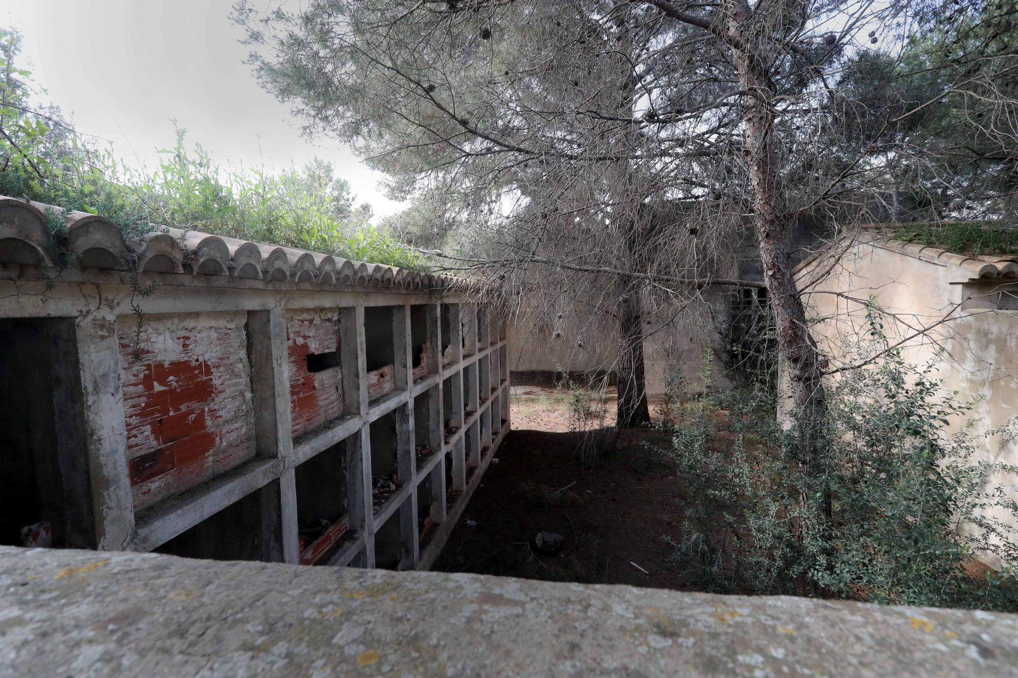 El cementerio abandonado de Moncada que te recordará a las películas de zombies