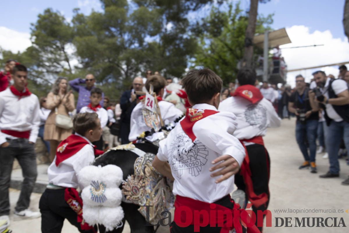 Fiestas de Caravaca | Desfile infantil del Bando de los Caballos del Vino