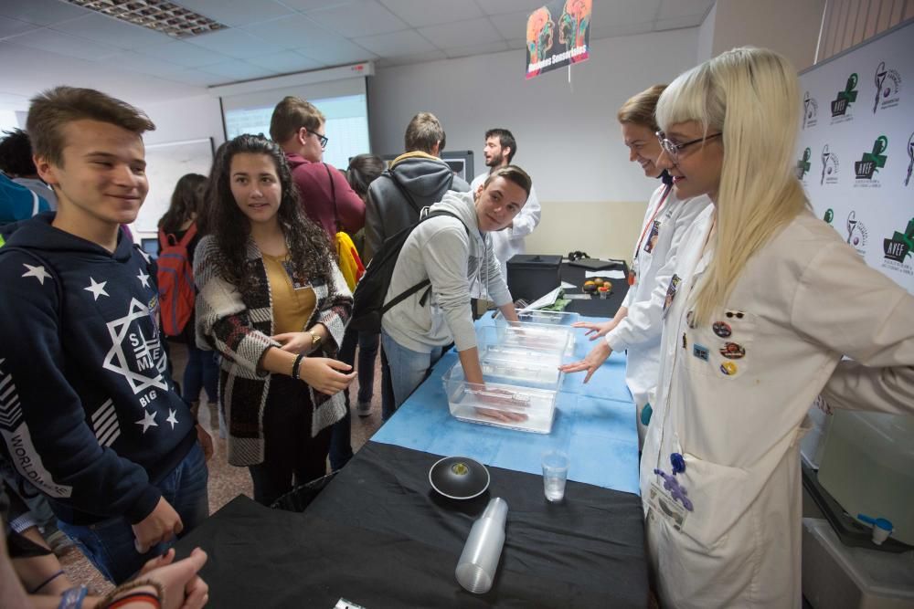 Los investigadores del Instituto de Neurociencias muestran cómo es su trabajo