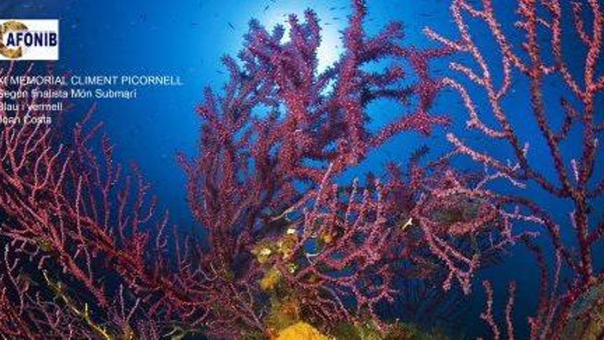 Lo mejor de la naturaleza balear,  en una exposición en Can Jeroni