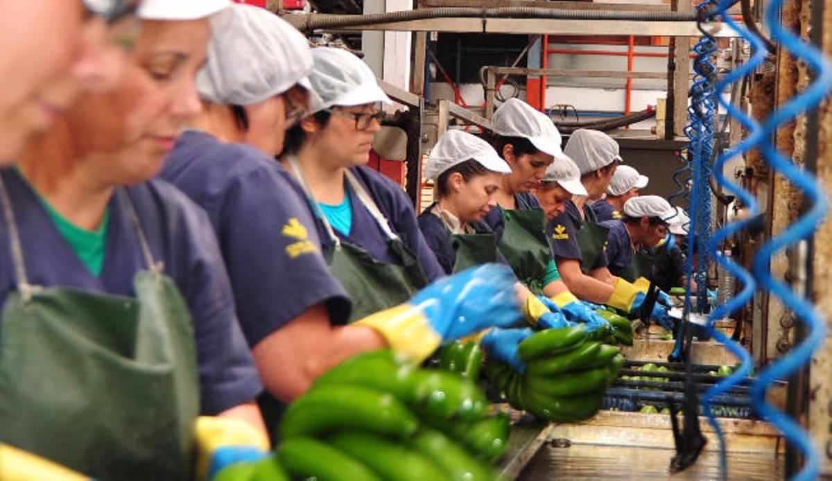 La Cooperativa Agrícola del Norte, a cinco años de su centenario