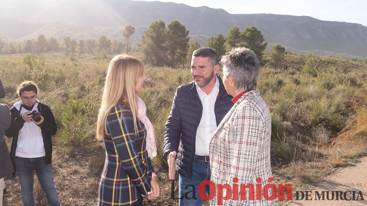 Bosque Disfrimur