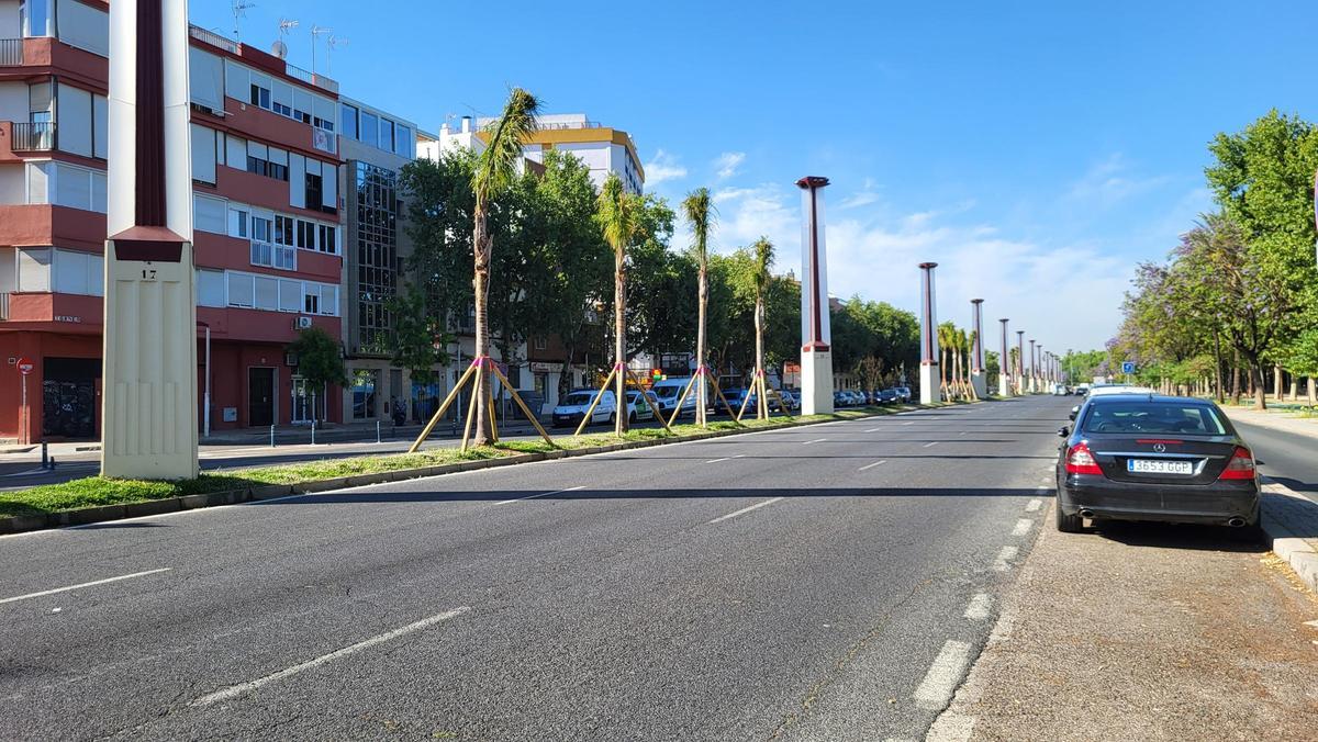 Final de las obras de reajardinamiento de la mediana de Torneo y Concejal Jiménez-Becerril