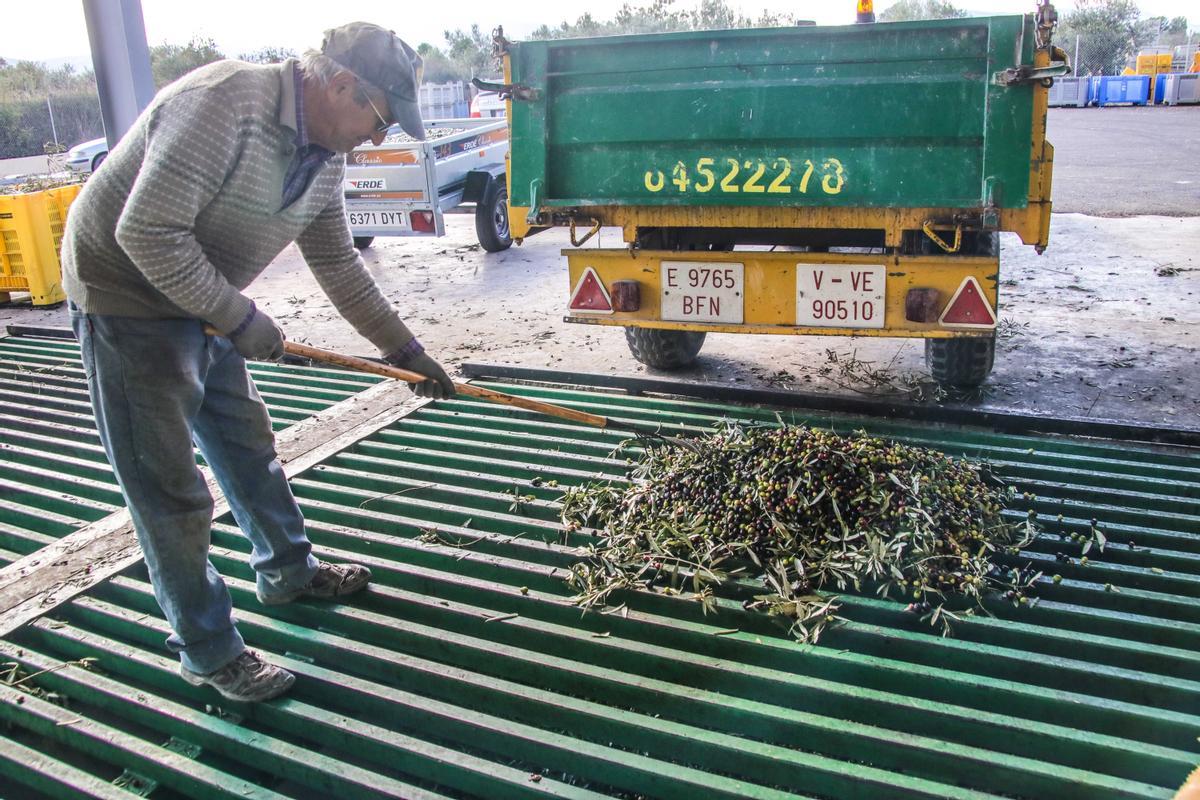 La agricultura es uno de los sectores más envejecidos.