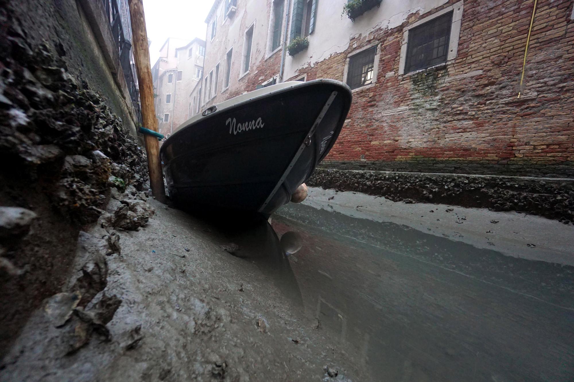 Low tide in Venice