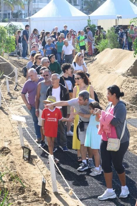 Inauguración del Belén de Arena de Las Canteras  | 30/11/2019 | Fotógrafo: Tony Hernández