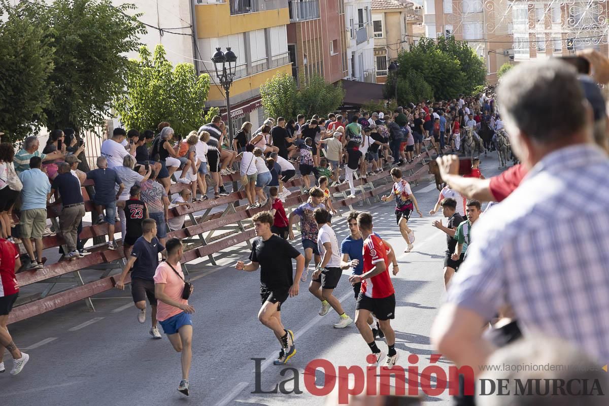 Primer encierro de las Fiestas de Moratalla