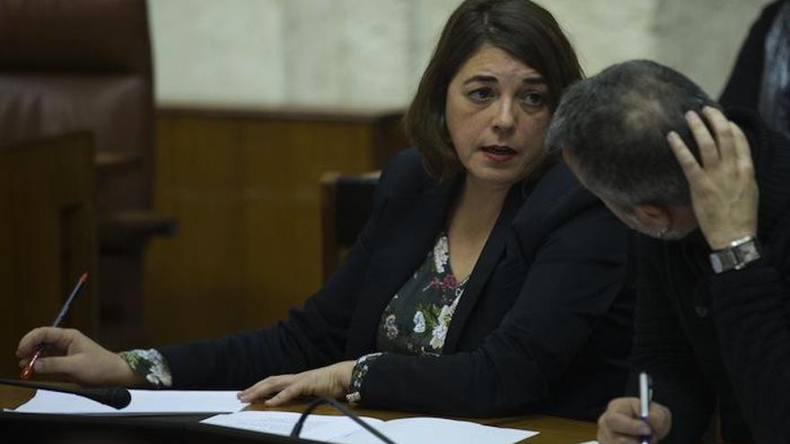 Cortés y Castro, durante el pleno del Parlamento andaluz.