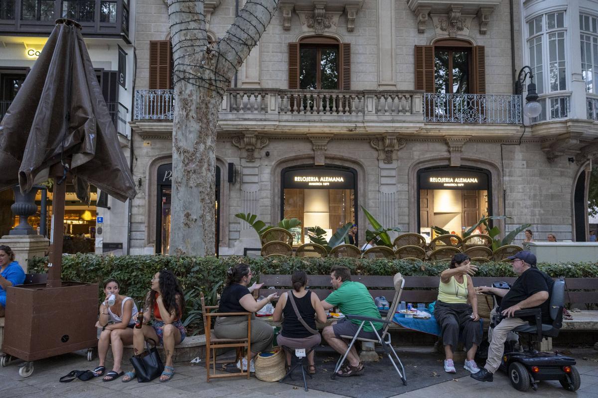 Los palmesanos recuperan el Born: "Hoy el paseo es nuestro" Los palmesanos recuperan el Born: "Hoy el paseo es nuestro"