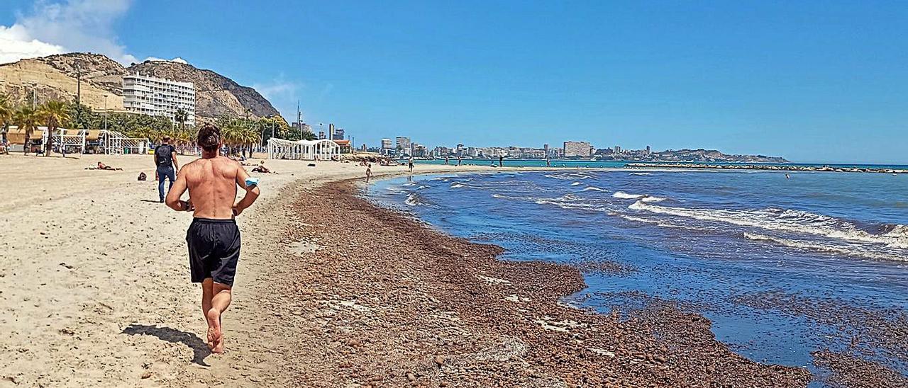 Algas, a causa de las borrascas, ayer, en el Postiguet.