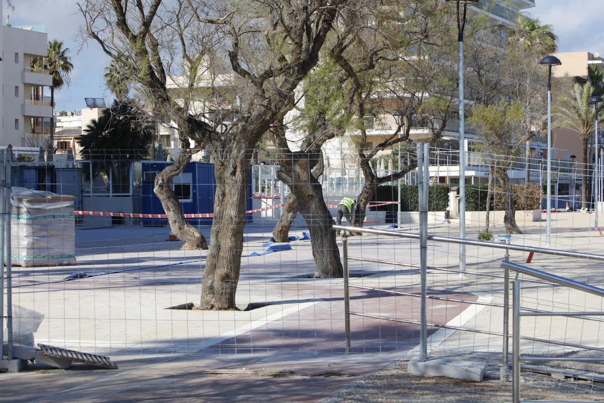 Mallorca-Urlauber-Hotspot macht sich bereit für die Saison: So sieht es Ende März in Cala Millor aus