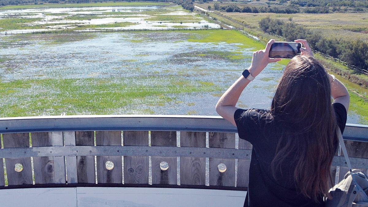 Parc Natural dels Aiguamolls de l'Empordà.