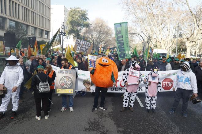 Colapso en las calles de València en el inicio de la tractorada por el acuerdo de la UE y el Mercosur
