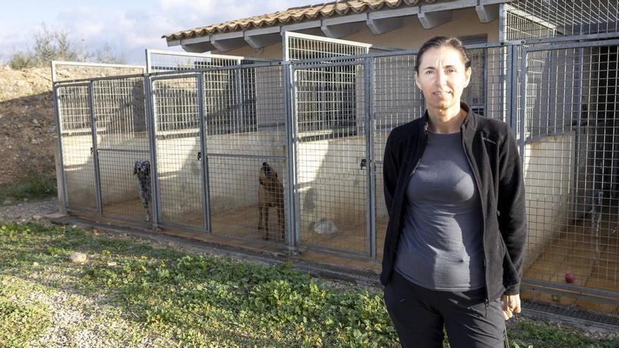 Cinco pitbull muerden a una mujer en Mallorca: &quot;Los perros atacan por miedo, hay que enseñarles a socializar&quot;