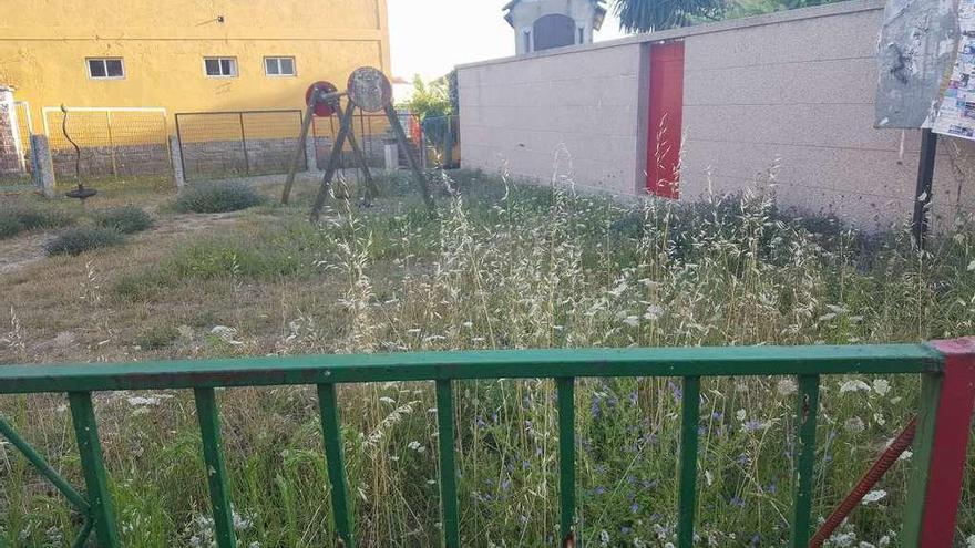 El parque de Oubiña, rodeado de maleza. // FdV