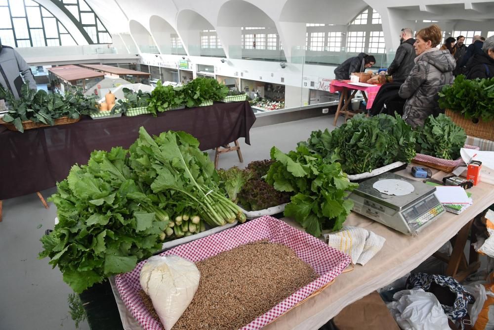 Presentación del Foro Galego de Agroecoloxía