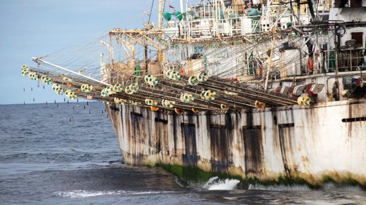 Los buques ilegales chinos invaden todos los mares