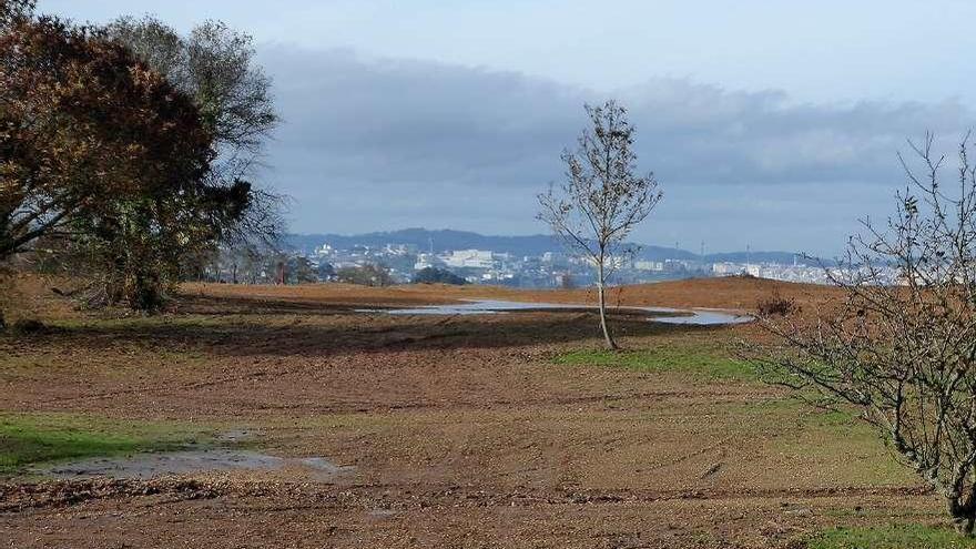 Zona de Xaz que formará parte del campo de golf de más de medio millón de metros cuadrados.