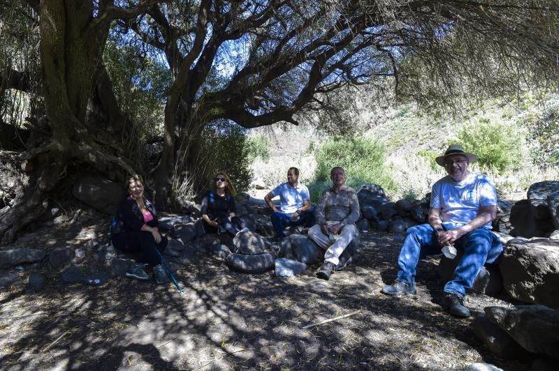 Inauguración del camino de las bestias en Ingenio