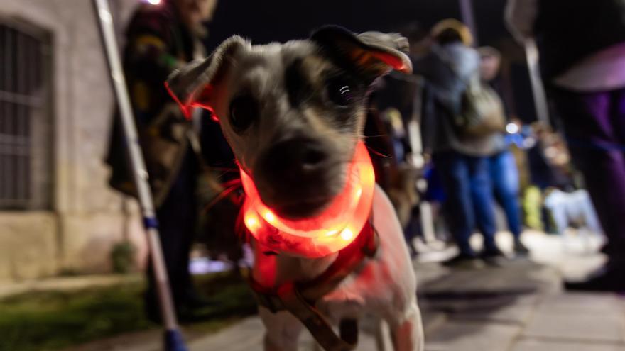 Así fue la marcha de las luciérnagas, la singular protesta por la falta de iluminación en el Parque del Mar de Alicante