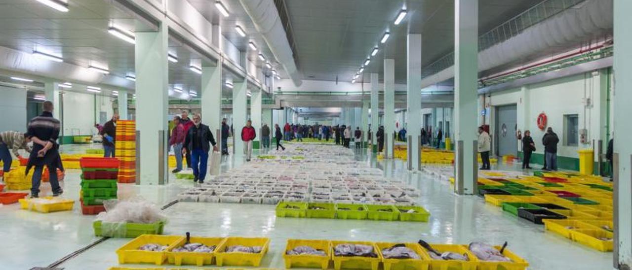 Pescado listo para la subasta en las instalaciones de la Lonja coruñesa.