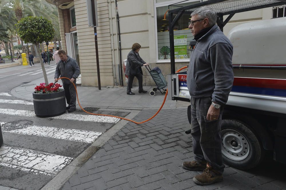 Nuevo método para ahuyentar a los gorriones