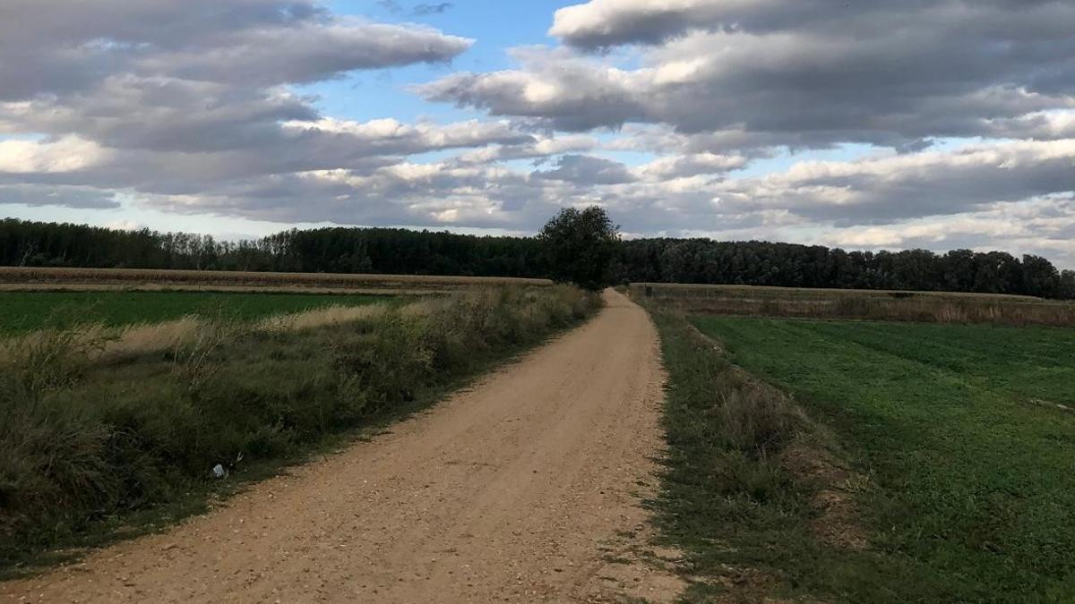 Zona donde se sitúan los caminos, todo el área comprendida entre Zamora, el Duero y Villalbo