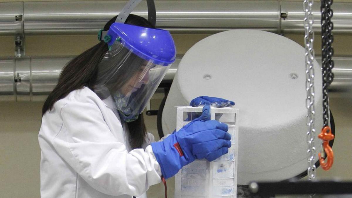 Preservación de material en un biobanco, dentro de enormes tanques de nitrógeno líquido.