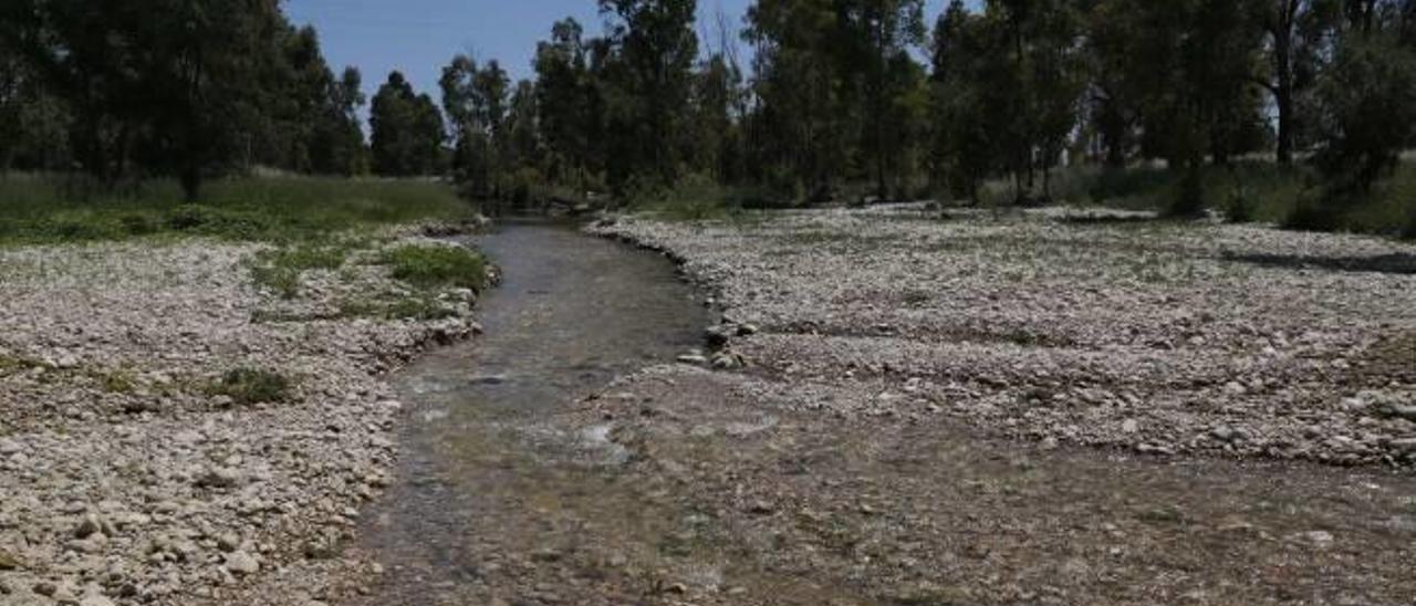 El río Magro, con poco caudal, a su paso por Carlet.