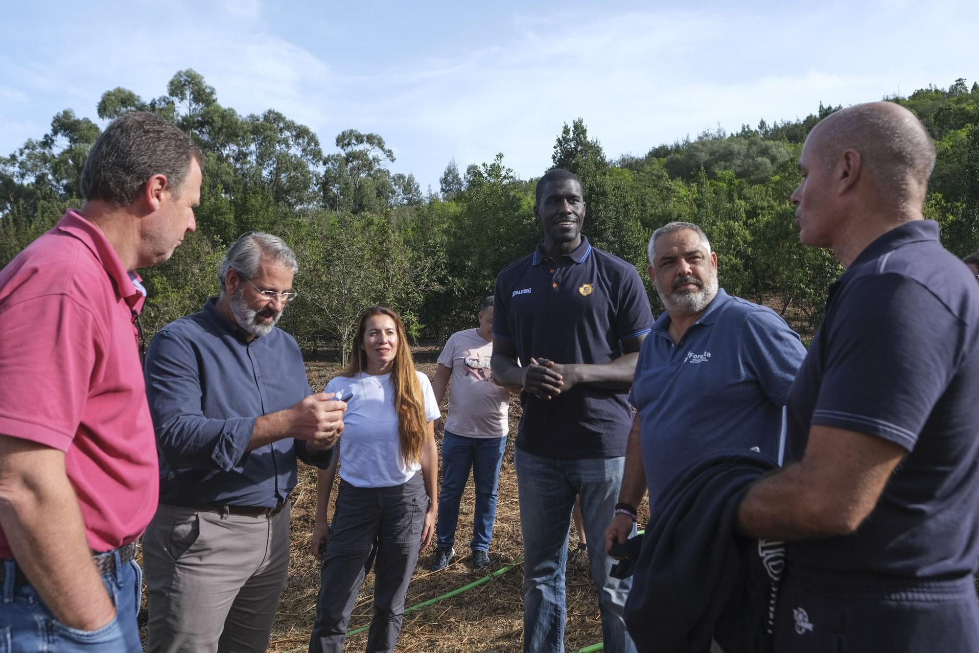 Reforestación 'Compromiso Granca'