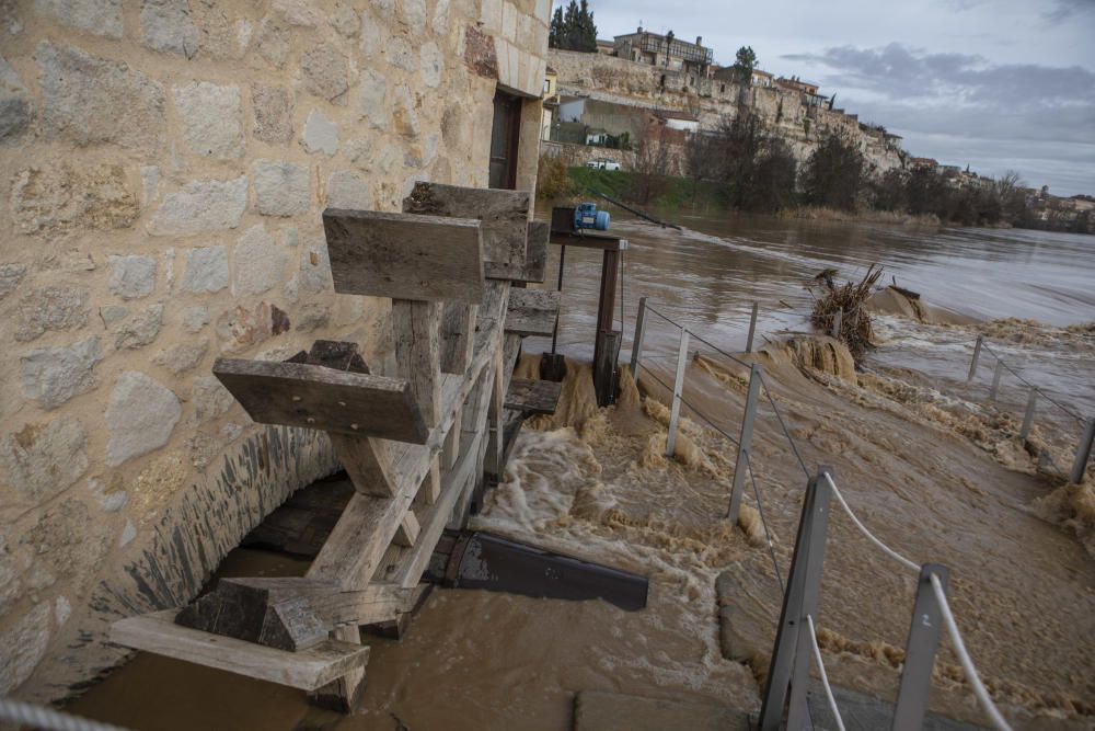 Crecida del río Duero por Zamora capital.