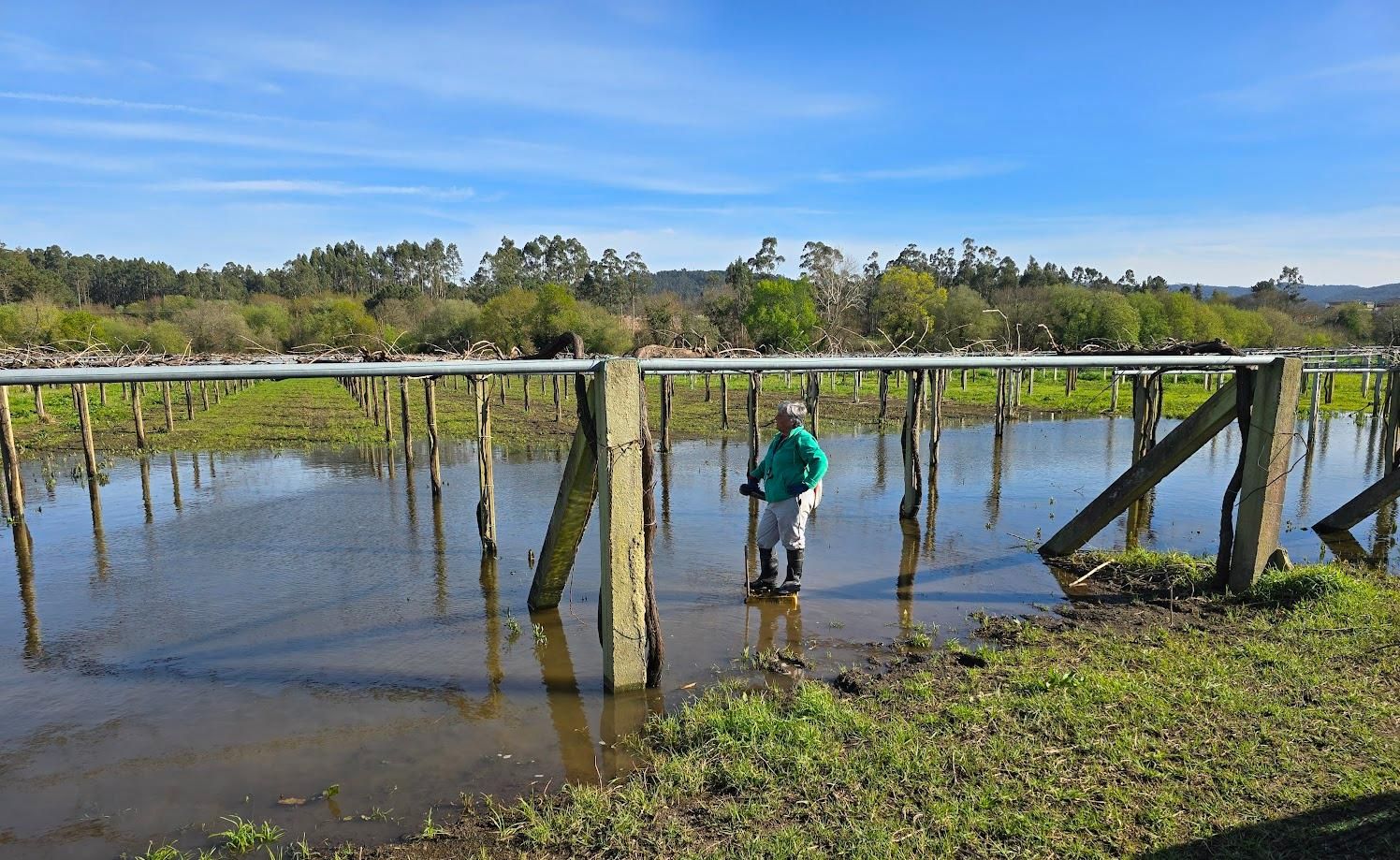 Arousanos aprovechando el buen tiempo para preparar sus tierras de cultivo.