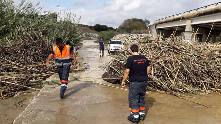 Operarios retiran cañas de una vía tras las lluvias de estos días.