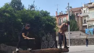 Els arbres segons Aram Pou