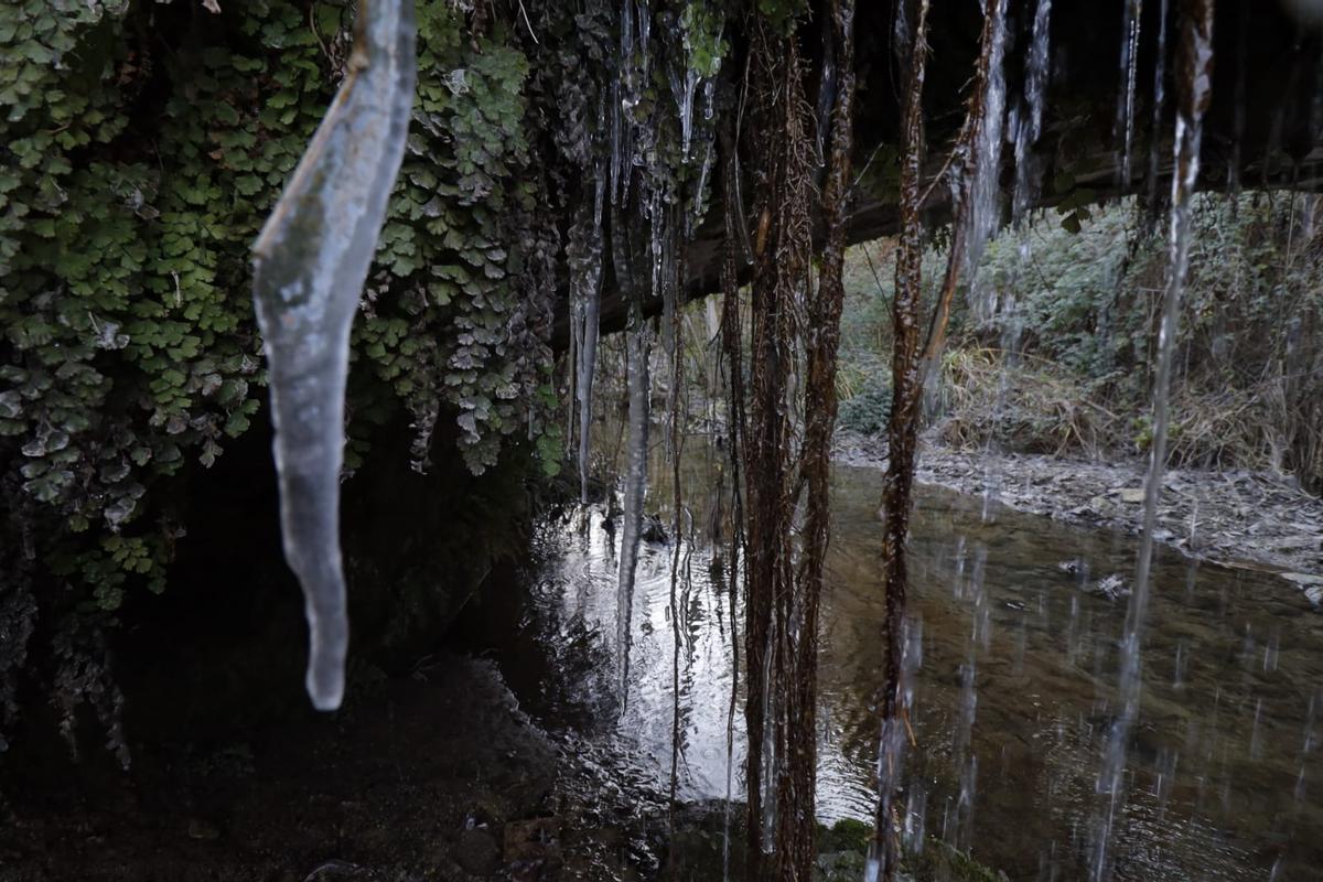 Mañana de frío y hielo en la sierra de Mariola Mañana de frío y hielo en la sierra de Mariola