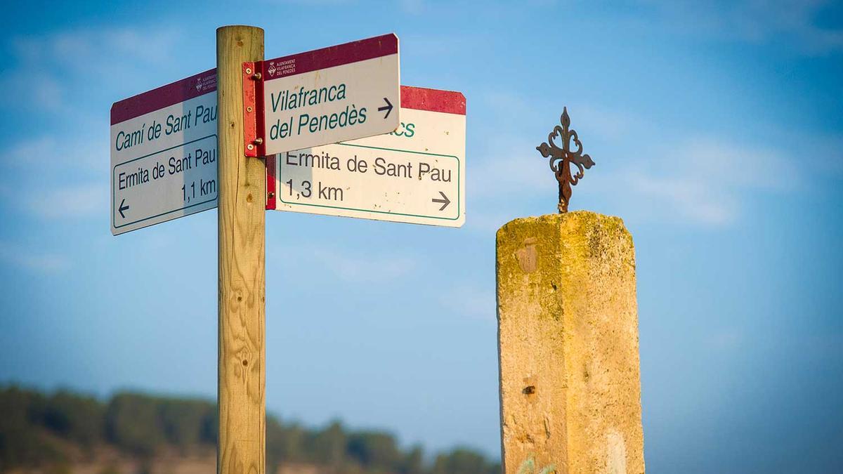Ruta entre viñedos Vilafranca