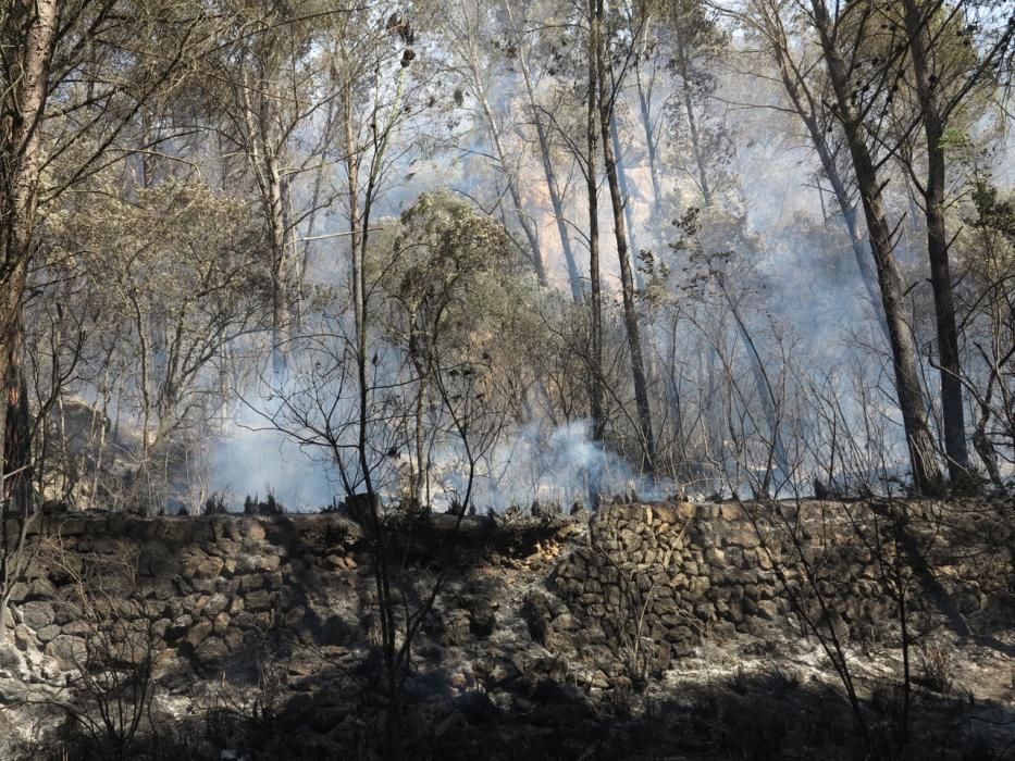 Waldbrand bei Puigpunyent