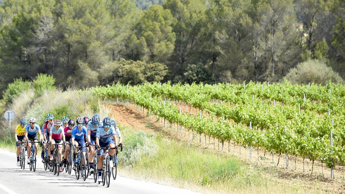 Grup de corredores durant el recorregut de la cursa