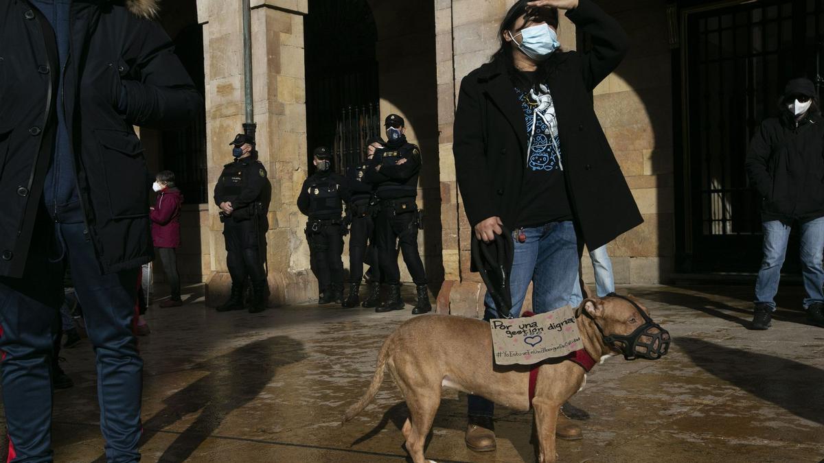 SOS de los animalistas de Oviedo: "El Ayuntamiento tiene que retirar ya la concesión de la perrera"