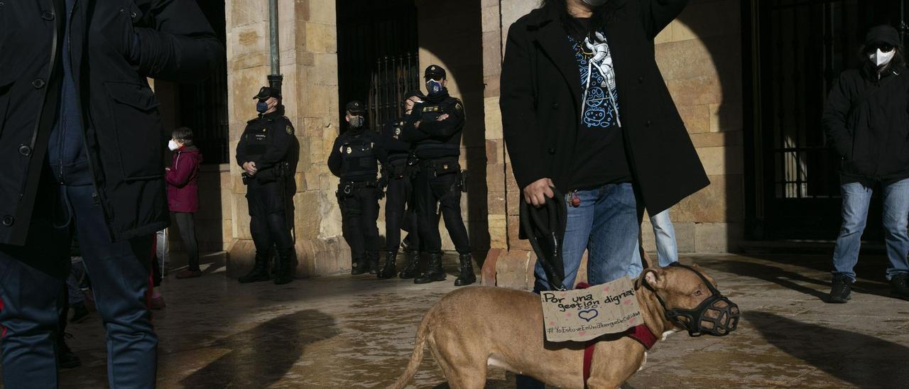 SOS de los animalistas de Oviedo: "El Ayuntamiento tiene que retirar ya la concesión de la perrera"