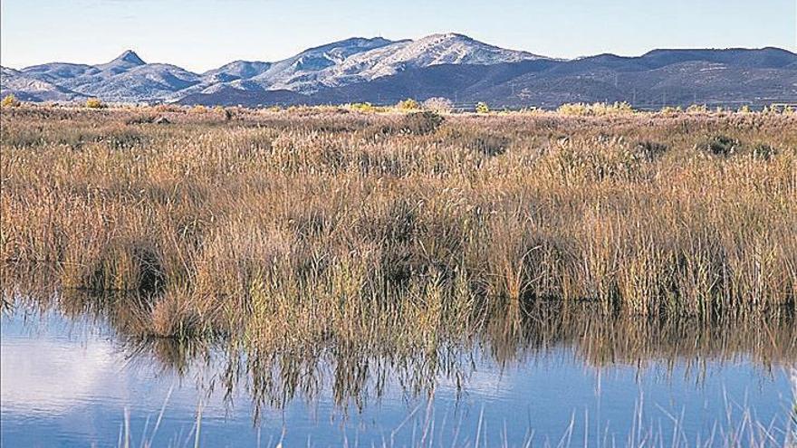 EL MAPA-GUIA DEL PRAT DE CABANES, EL DIUMENGE, dia 1