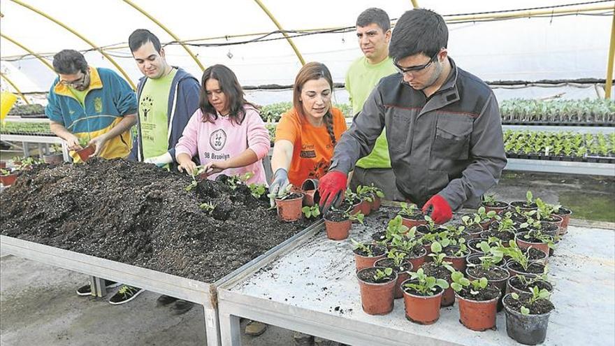 Aprender a vivir plantando pensamientos