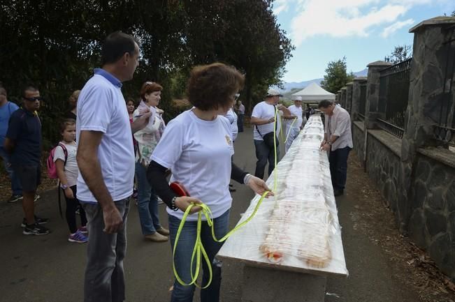 FIESTAS DE VALLESECO