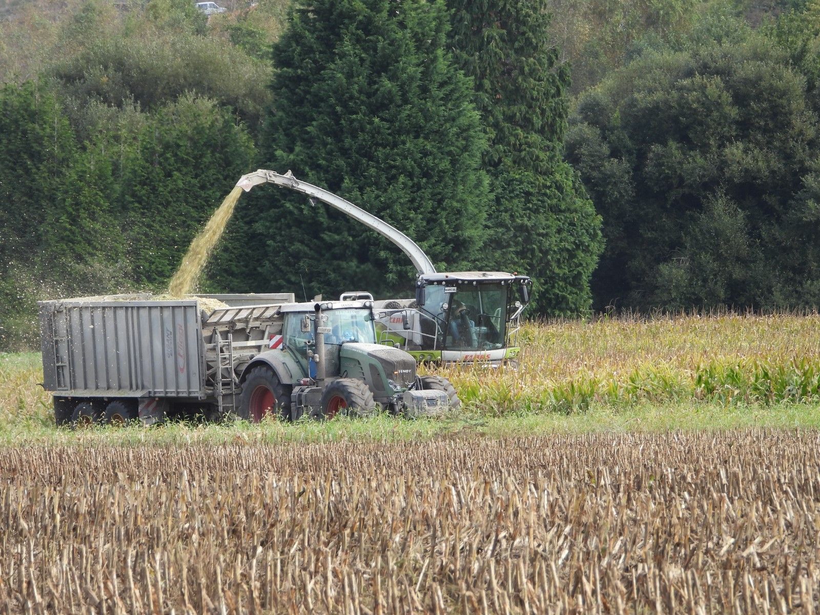 La cosechadora de un millón de euros de Marcial da Pereira