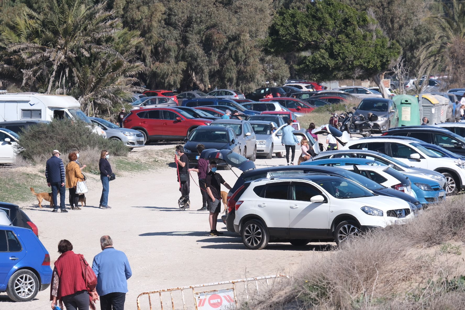 Domingo primaveral en Elche: Centenares de personas peregrinan a la playa de la Marina