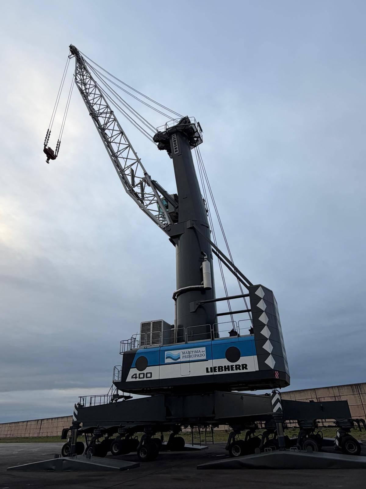 La nueva grúa, en el Muelle Romualdo Alvargonzález.