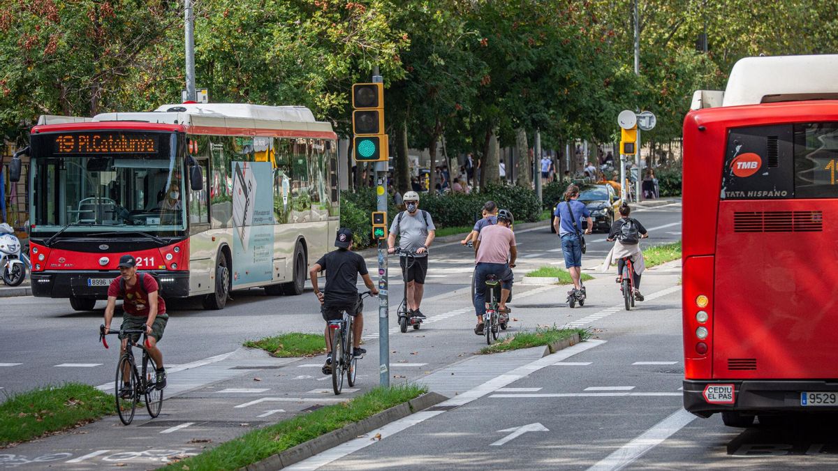 Buses de TMB circulando por Barcelona