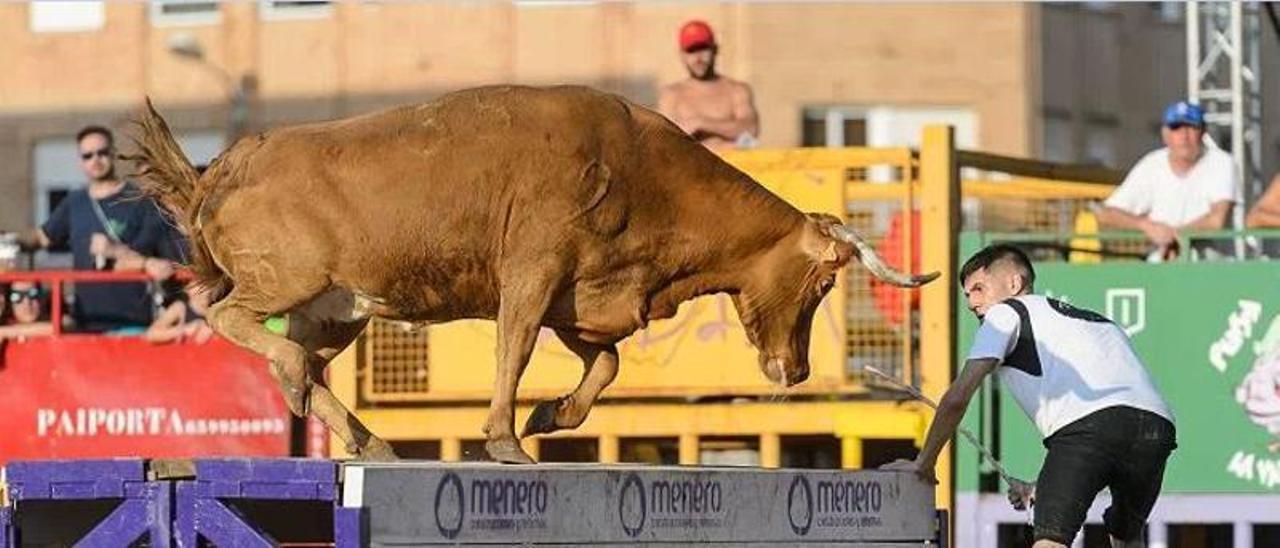 Los matinales, tardes y noches taurinas volverán a la plaza del Mercado el 31 de julio con el concurso de ganaderías.