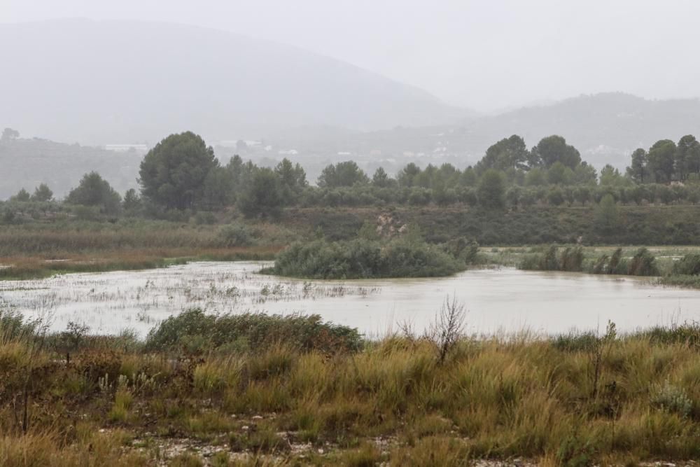 Destrozos en El Comtat por el temporal