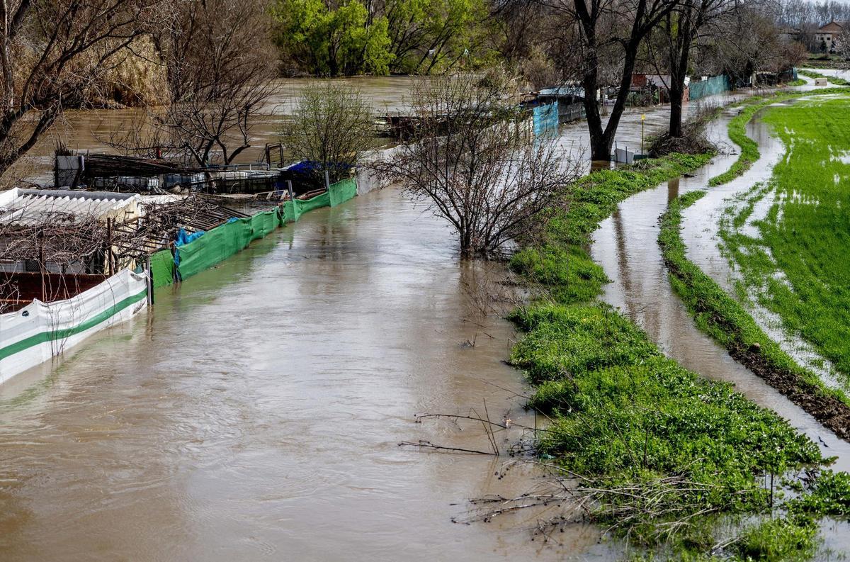Archivo - Zona de cultivos afectada por el desbordamiento del Río Jarama, a 12 de marzo de 2025, en San Fernando de Henares (Madrid). El Ayuntamiento de Madrid mantiene activado su plan de inundaciones a nivel 0 de alerta, no por la previsión de lluvias,